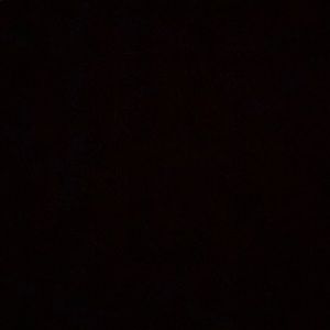 Meet your Posher, Tamara